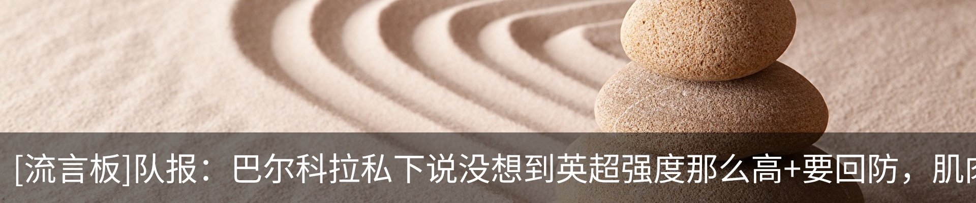 资讯动态